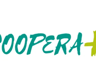 CSE participa de grupo de discussão