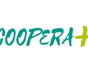 CSE participa de grupo de discussão